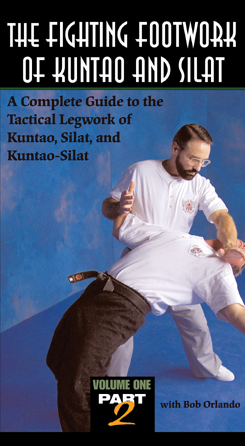 Kuntao Silat